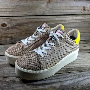 ASN croc-skin limited,(40)w7 beight